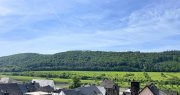 Zeltingen-Rachtig Winzerhaus an der Mosel im beliebten Weinort Zeltingen-Rachtig (extra Garten möglich) Haus kaufen