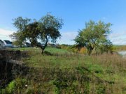 Morbach EFH im Naturpark Saar Hunsrück, Nähe Morbach… vier schöne Wände,ein malerischer Ausblick, was will Mann/ Frau mehr ? Haus