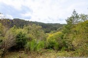 Schladt Seltene Gelegenheit in idyllischer Alleinlage: Wochenendhaus inmitten der Natur Haus kaufen