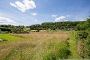 Immerath Ruhige Lage am Ortsrand: Baugrundstück in Immerath bei Daun in der Eifel Grundstück kaufen