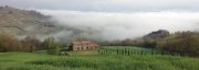 Casale Marittimo Zu Renovierendes Landhaus mit Blick auf die toskanische Landschaft Haus kaufen