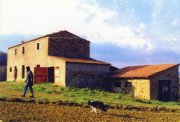 Casale Marittimo Zu Renovierendes Landhaus mit Blick auf die toskanische Landschaft Haus kaufen