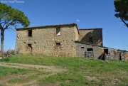 Castelnuovo di Val di Cecina Schönes altes Bauernhaus zu restaurieren mit viel Grund, ideal als BIO-Bauernhof Haus kaufen