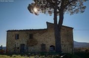 Castelnuovo di Val di Cecina Schönes altes Bauernhaus zu restaurieren mit viel Grund, ideal als BIO-Bauernhof Haus kaufen