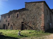 Castelnuovo di Val di Cecina Schönes altes Bauernhaus zu restaurieren mit viel Grund, ideal als BIO-Bauernhof Haus kaufen