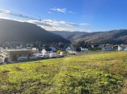 Traben-Trarbach exzelentes Baugrundstück (noch nicht erschlossen) in Traben mit Fernsicht über die Mosel und Weinberge Grundstück kaufen