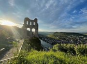 Traben-Trarbach exzelentes Baugrundstück (noch nicht erschlossen) in Traben mit Fernsicht über die Mosel und Weinberge Grundstück kaufen