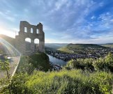 Traben-Trarbach Herrenhaus als Geschäftshaus od. Wohnhaus nutzbar (Büro, Praxis, Wohnungen) Haus kaufen