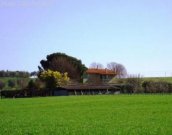 Pomonte Bauernhaus mit 18 Hektar Land in der Gemeinde Scansano Haus kaufen