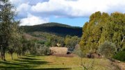 Gavorrano Landwirtschaftliches Anwesen mit 36 Hektar Land in Meernaehe Haus kaufen