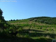 Gavorrano Landwirtschaftliches Anwesen mit 36 Hektar Land in Meernaehe Haus kaufen