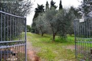 Follonica Kleine Villa mit Meerblick in Follonica Haus kaufen