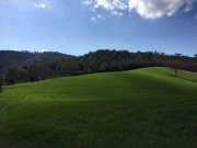 Castellaccia Landwirtschaftliches Anwesen mit insgesamt 41 ha Haus kaufen