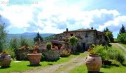 Seggiano Landwirtschaftliches Anwesen mit Weinberg, Olivenhain und Agriturismus Haus kaufen