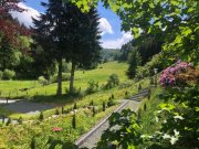 Winterberg FERIENUNTERKUNFT mit großem Grundstück & Ausbaupotential in wunderschöner NATUR Lage in Winterberg Gewerbe kaufen