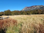 Rio Ibañez Großflächiges Grundstück in der Region Aysén, Patagonien Grundstück kaufen