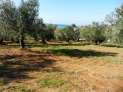 Nea Moudania Einmaliges Grundstück vor dem Strand bei Chalkidike Nea Moudania mit 22.000 qm grundstücksfläche Grundstück kaufen