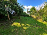 Ober-Ramstadt Großes Potenzial: Ein- bis Zweifamilienhaus mit wunderschönem Fernblick in Ober-Ramstadt/Eiche Haus kaufen