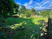 Ober-Ramstadt **RESERVIERT** Großes Potenzial: Ein- bis Zweifamilienhaus mit wunderschönem Fernblick in Ober-Ramstadt/Eiche Haus kaufen