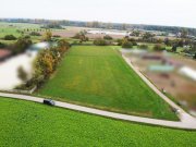 Babenhausen DIETZ: Traumhafte Landwirtschaftsfläche in Babenhausen Hergershausen neben Reiterhof zu verkaufen! Grundstück kaufen