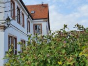 Seebach Zauberhaftes Landhaus im Elsass mit 4 WHN, vielseitig Nutzbar - 450m² Wohnfläche - Schwimmteich Haus kaufen