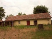 Ülles Bauernhaus mit hohen Bäumen Haus kaufen