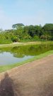 67900 Brasilien 100 Ha Bauernhaus - Plantagen und Eierproduktion bei Presidente Figueiredo AM Grundstück kaufen