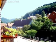 bei Kaysersberg Reihenendhaus in einer so hübschen, typischen Ortschaft bei Kaysersberg im Elsass - 40 Min. v/Deutschland 60 Min. v/Basel Haus