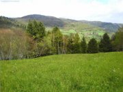 Lautenbach (bei) Autentisch erhaltene Farm in Absoluter Alleinlage - 40 Min. von Basel u. Weil am Rhein Haus kaufen