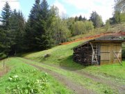 Lautenbach (bei) Autentisch erhaltene Farm in Absoluter Alleinlage - 40 Min. von Basel u. Weil am Rhein Haus kaufen