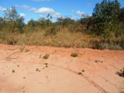 Silves Brasilien riesengrosses 1\'000 Ha Tiefpreis - Grundstück mit Rohstoffen Grundstück kaufen