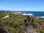 Betty´s Bay Beachfarm Betty Bay Haus kaufen