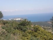 Agios Nikolaos, Lasithi, Kreta Bauland mit Olivenhain und Meerblick Grundstück kaufen