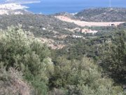 Agios Nikolaos, Lasithi, Kreta Bauland mit Olivenhain und Meerblick Grundstück kaufen