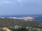 Agios Nikolaos, Lasithi, Kreta Bauland mit Olivenhain und Meerblick Grundstück kaufen