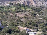 Agios Nikolaos, Lasithi, Kreta Bauland mit Olivenhain und Meerblick Grundstück kaufen