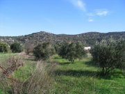 Hamilo, Lakonia, Agios Nikolaos, Lasithi, Kreta 334 qm Bauland in Naehe eines Dorfes Grundstück kaufen