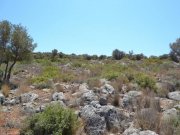 Vathi, Agios Nikolaos, Lasithi, Kreta Großes Grundstück von 5.000m2 mit freiem Meerblick Grundstück kaufen