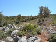 Vathi, Agios Nikolaos, Lasithi, Kreta Großes Grundstück von 5.000m2 mit freiem Meerblick Grundstück kaufen