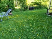 Burladingen Attraktives Eigenheim mit Garage und großem Gartengrundstück Haus kaufen