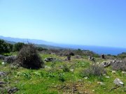 Kounali, Neapolis, Lasithi, Kreta 10 Baugrundstücke mit herrlichem Meer- und Bergblick Grundstück kaufen