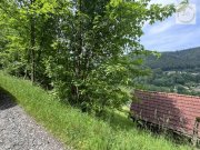 Bad Wildbad Freizeitgrundstück - Für Bienenfreunde, für Freunde der Natur evtl. Bebaubar. Grundstück kaufen