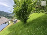 Bad Wildbad Freizeitgrundstück - Für Bienenfreunde, für Freunde der Natur evtl. Bebaubar. Grundstück kaufen