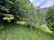 Bad Wildbad Freizeitgrundstück - Für Bienenfreunde, für Freunde der Natur evtl. Bebaubar. Grundstück kaufen