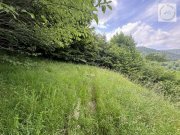 Bad Wildbad Freizeitgrundstück - Für Bienenfreunde, für Freunde der Natur evtl. Bebaubar. Grundstück kaufen