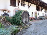 Rohrbach (Landkreis Südliche Weinstraße) Charmantes Winzeranwesen mit angrenzender Scheune und historischen Akzenten Haus kaufen