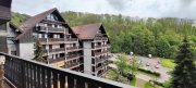 Sasbachwalden großzügige 2-Zimmer Wohnung mit Balkon, Außenstellplatz und Kellerabteil Wohnung kaufen