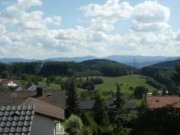 Rheinfelden Geräumiges und gepflegtes Einfamilienhaus, komfortabel und hochwertig gebaut, mir fantaschem Blick bis zu den Alpen Haus kaufen