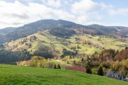 Wieden Postkarten-Panorama Haus kaufen