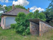 Lepseny Haus mit großem Grundstück und Weinkeller Haus kaufen